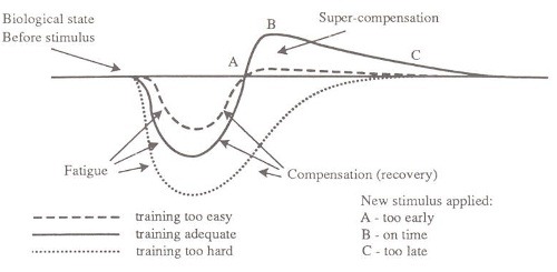 supercompensation-curve